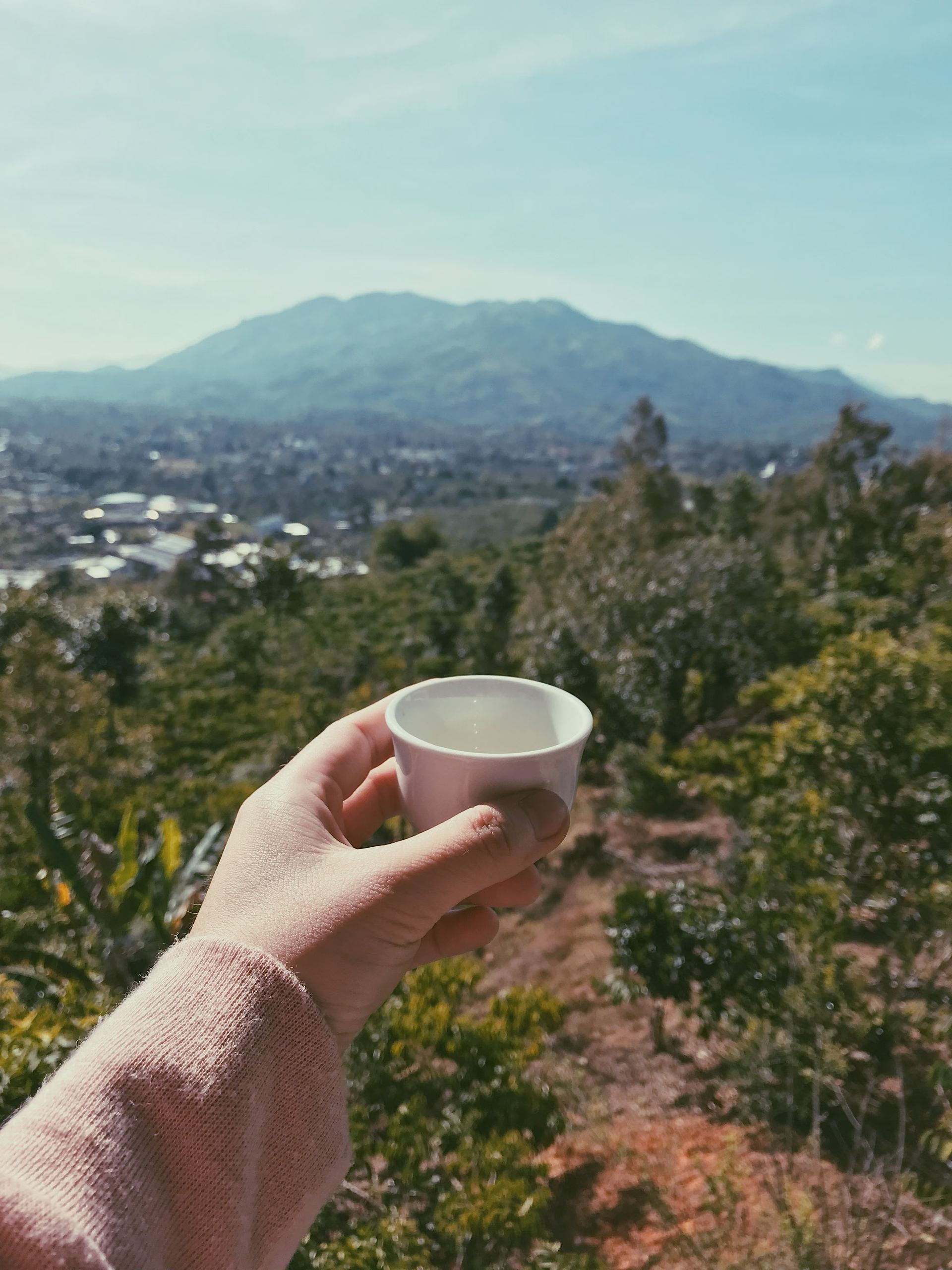 Ruta del café y la trova